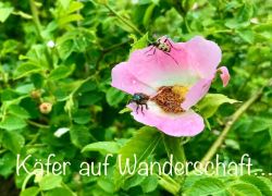 IMG 20220608 WA0004