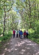 20240612_123424 20240612_123424